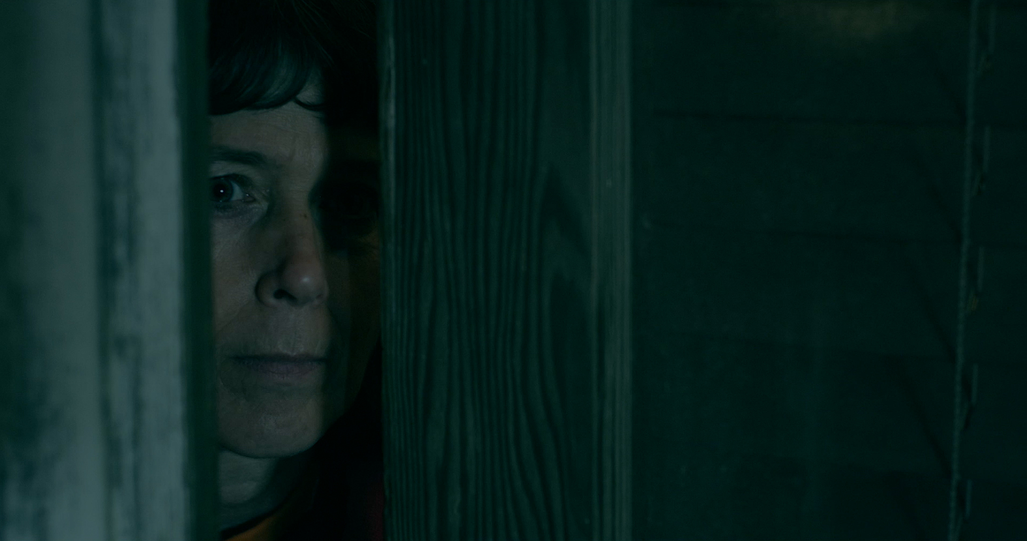 024 - Old Crone.jpg